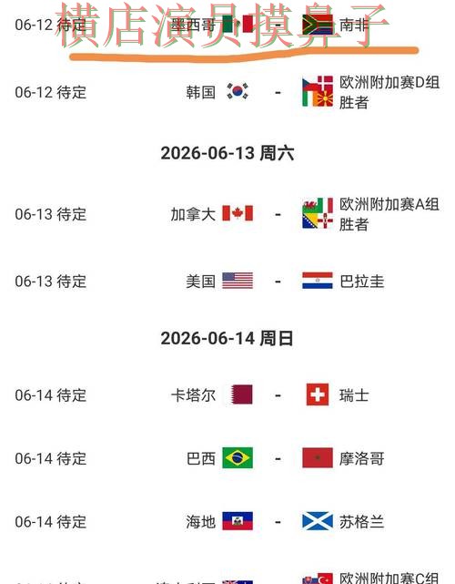 新手必看：世界杯投注网站大全平台排行+直播详解 + World Cup 2026